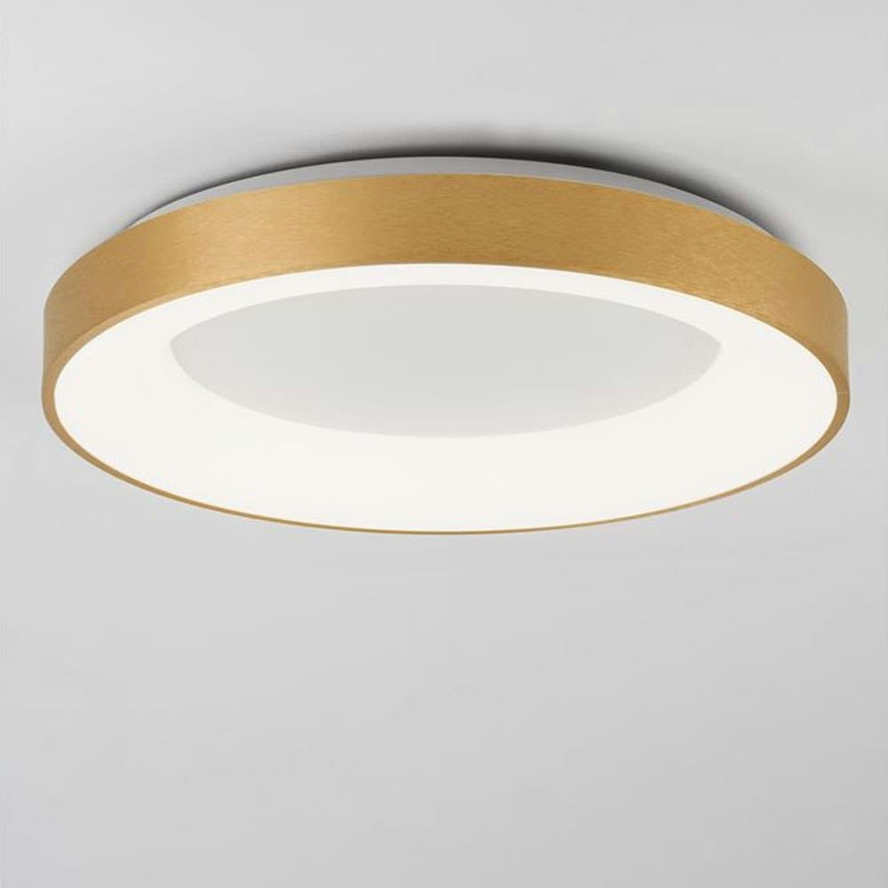 0236458ebcf255c47c4ee5a820599d4910