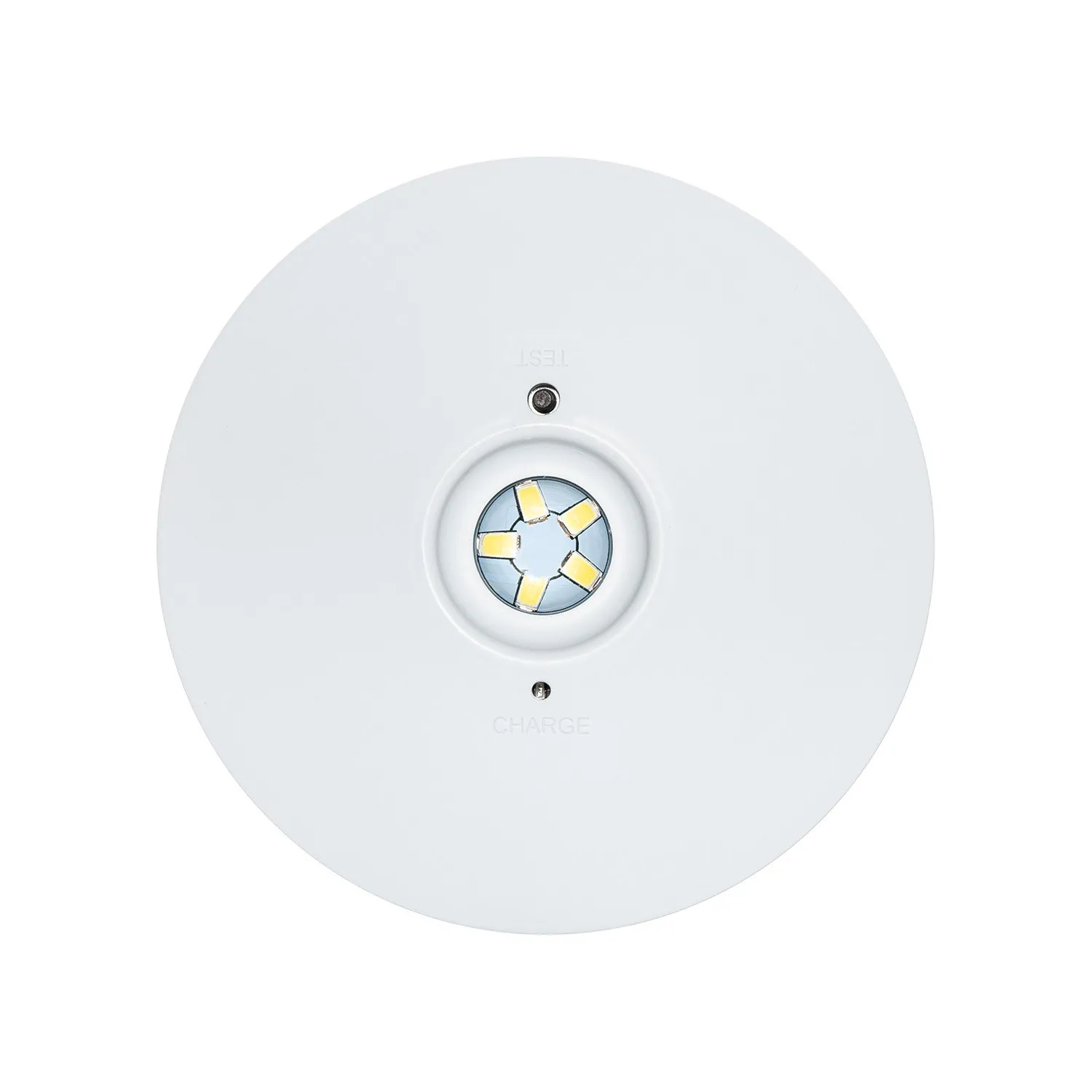 aufbau-notleuchte-led-25w1