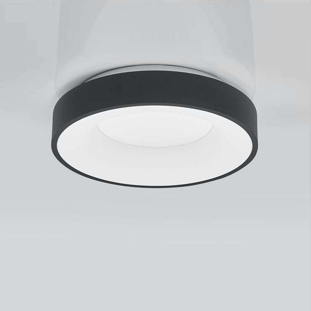 c001d659c9e075b8a0ec66af41234f816