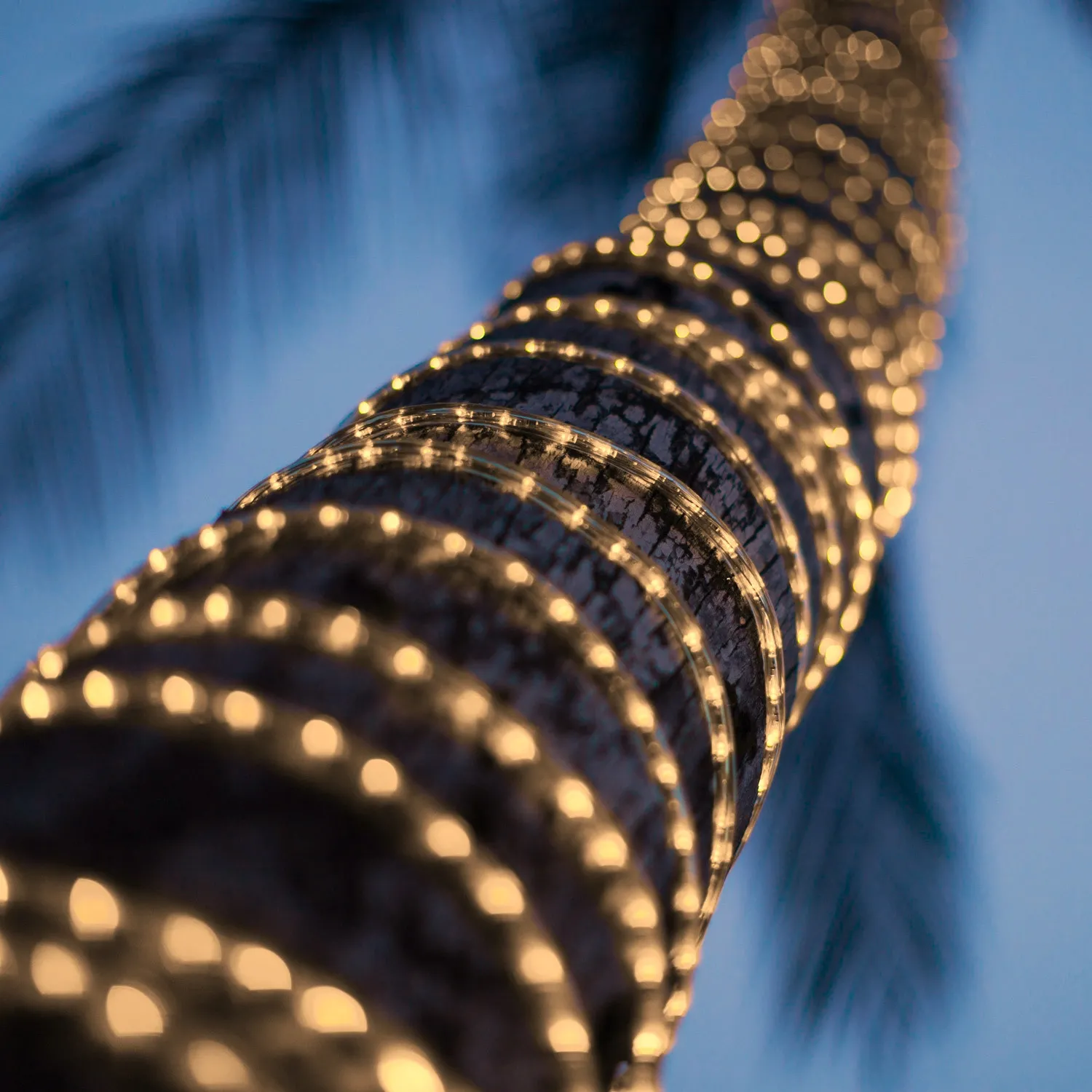 led-schlauch-220v-ac-36-ledm-warmweiss-ip65-nach-maas-schnitt-alle-100cm ip65