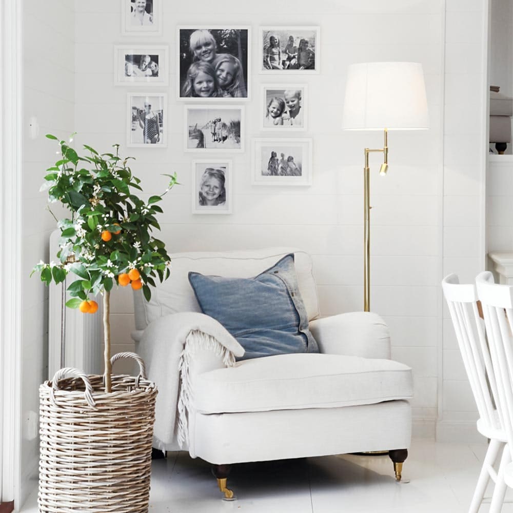 444543cdb47bd26b346affff93ca0e400