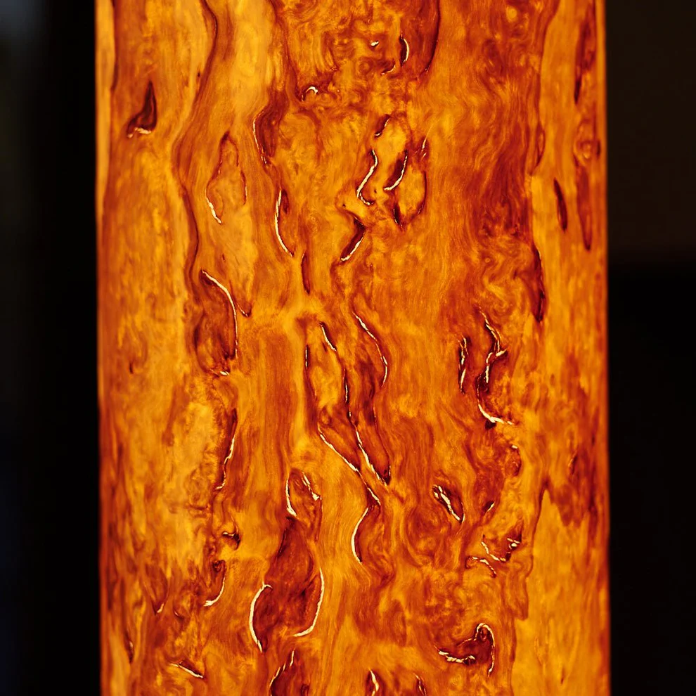 columna-stehlampe-birke-maser-mit-stab-222058