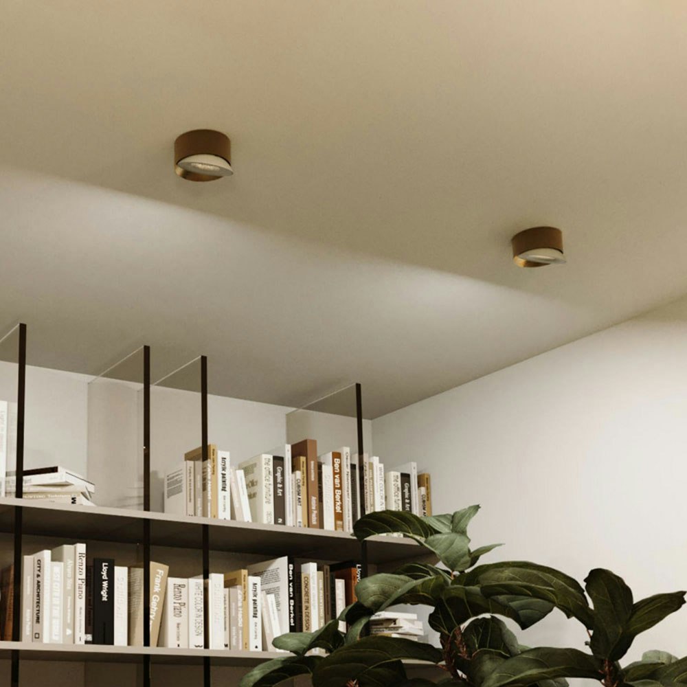 080b1affdcdb2618156f409c2376afa01