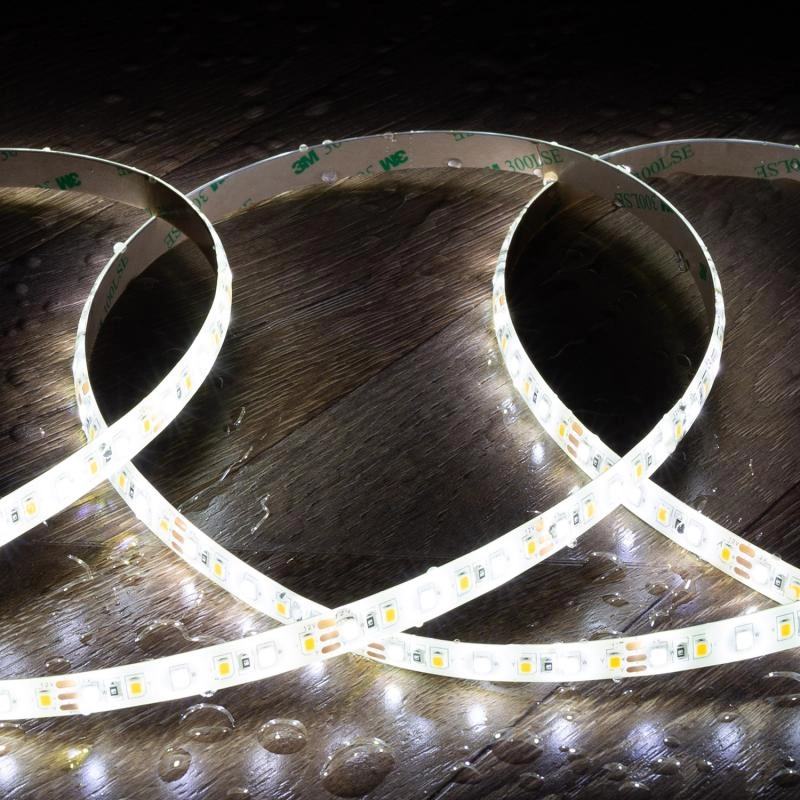 tira-led-cct-12v-dc-smd2835-120ledm-5m-ip65-ancho-10mm-corte-5cm (5)