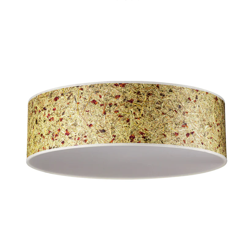 LDD01-Rosenbluete_Roses