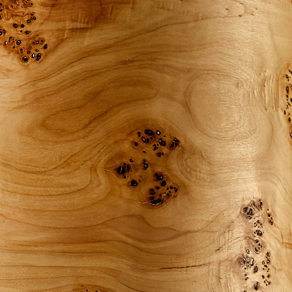 columna-stehlampe-pappel-mit-stab-658744