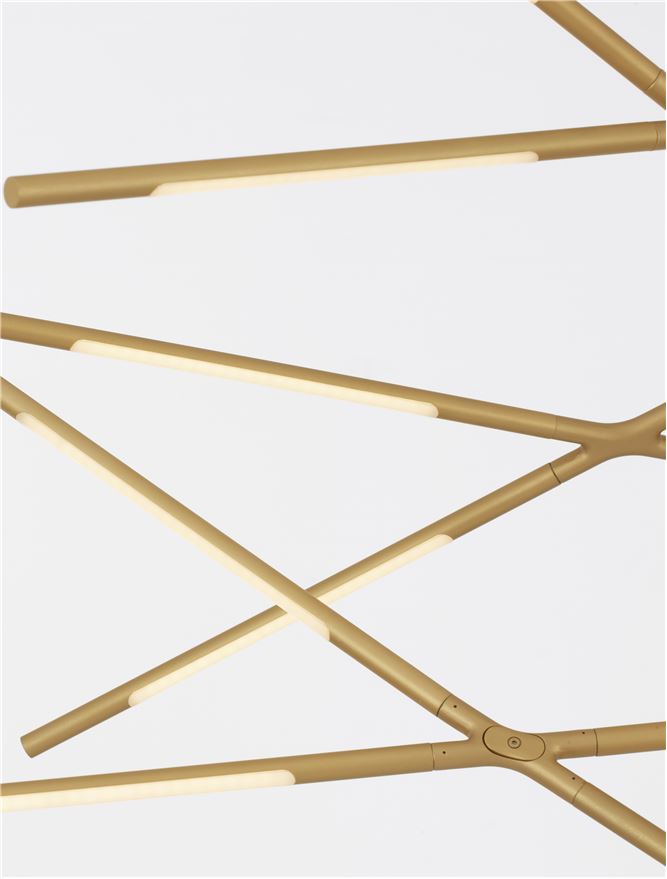 9695215_5 - Kopie - Kopie