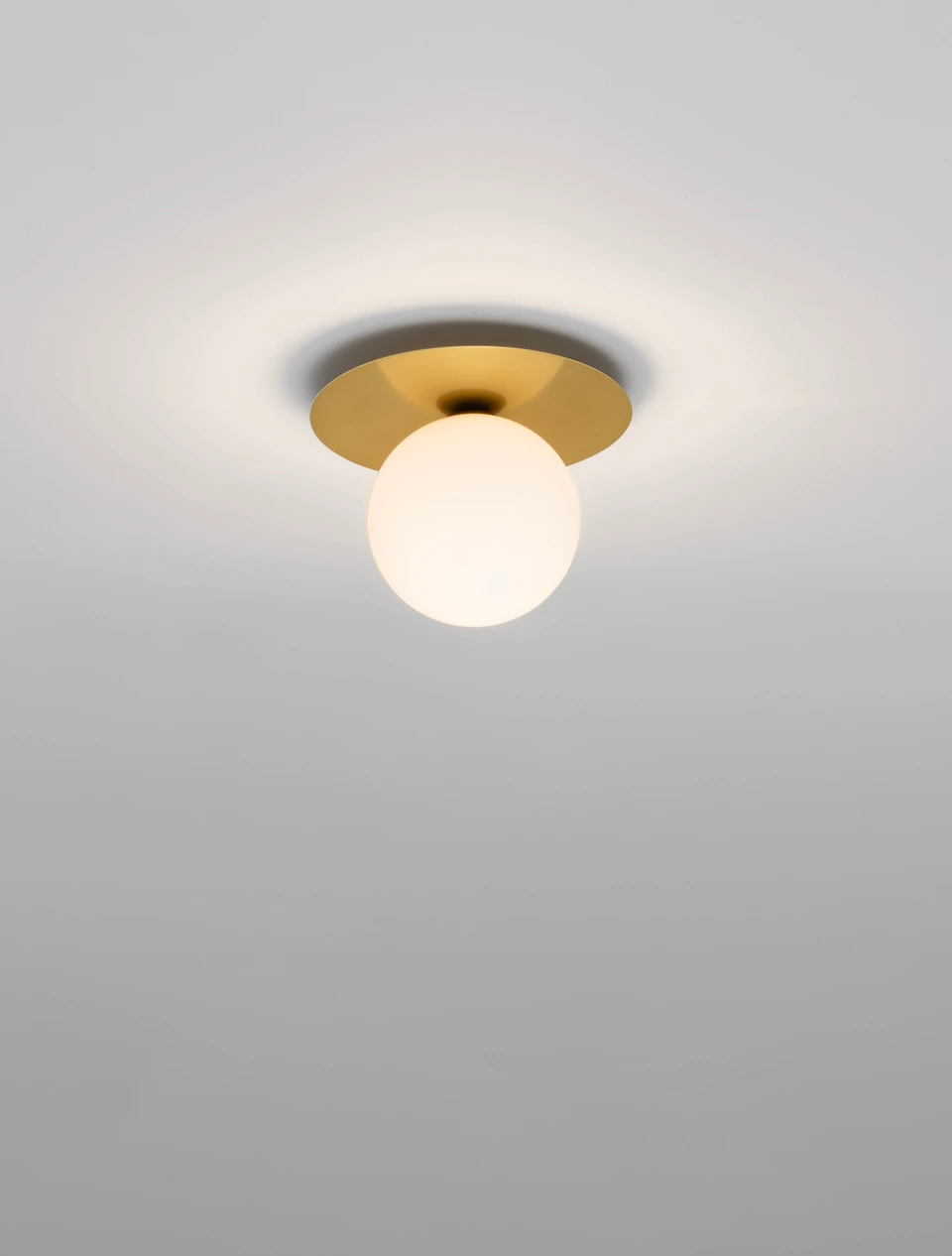 9501246_1
