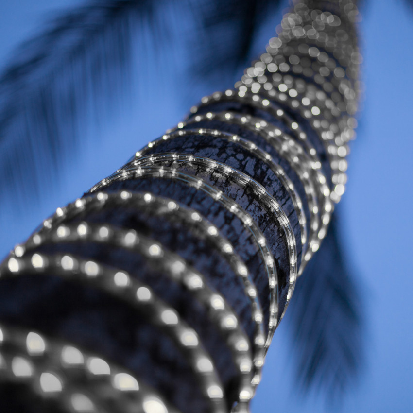 LED-Schlauch 220V AC 36 LED/m Kaltweiß IP65 nach Mass Schnitt alle 100cm